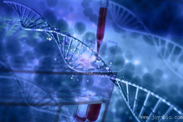 方案設計整體服務